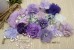 Mix Assorted pack (AMP 51), Lavender, Purple